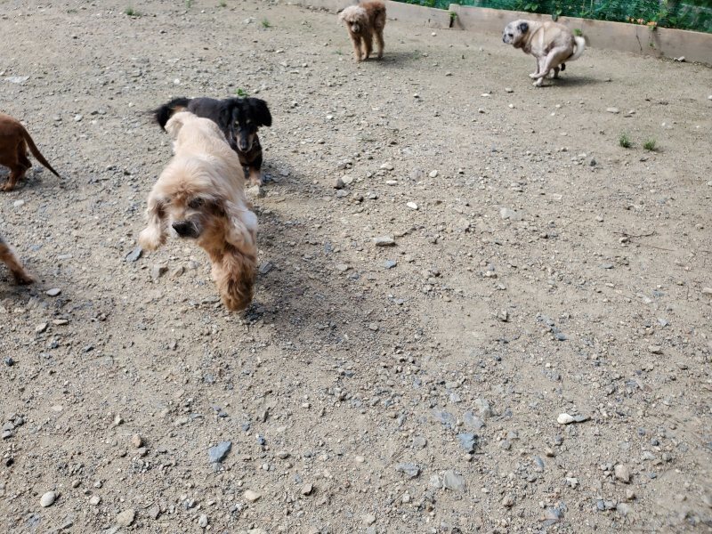 f:id:roukenhome-ann:20190908210308j:plain