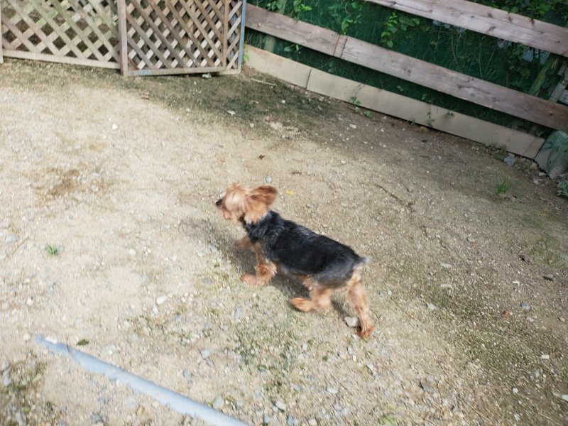 f:id:roukenhome-ann:20190908210316j:plain