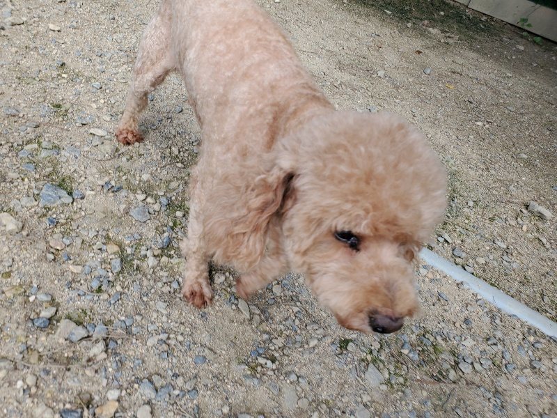 f:id:roukenhome-ann:20190908210327j:plain