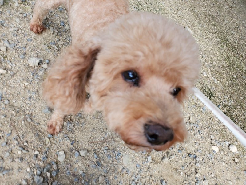f:id:roukenhome-ann:20190908210338j:plain