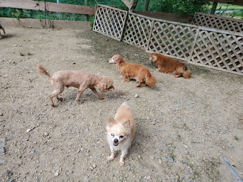 f:id:roukenhome-ann:20190908210408j:plain
