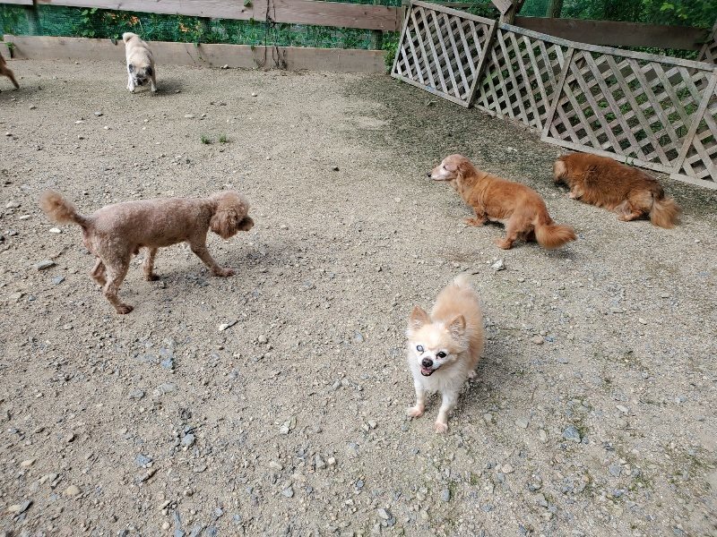 f:id:roukenhome-ann:20190908210418j:plain