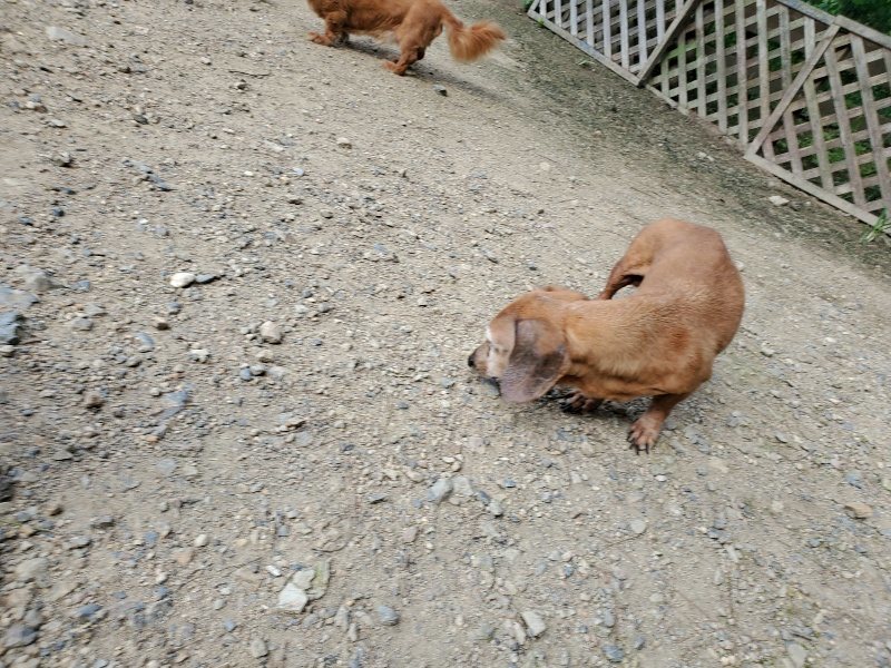 f:id:roukenhome-ann:20190908210438j:plain