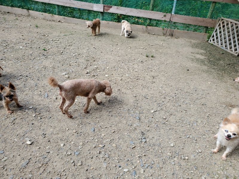 f:id:roukenhome-ann:20190908210444j:plain