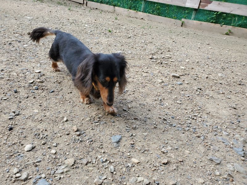 f:id:roukenhome-ann:20190908210452j:plain