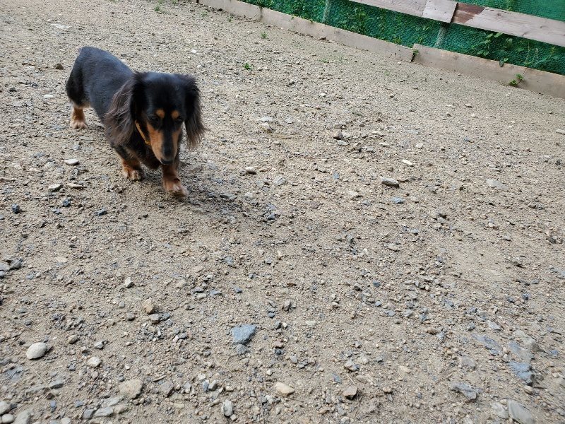 f:id:roukenhome-ann:20190908210458j:plain
