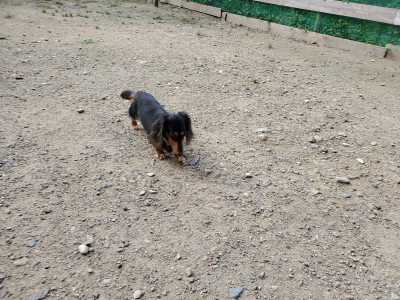 f:id:roukenhome-ann:20190908210507j:plain