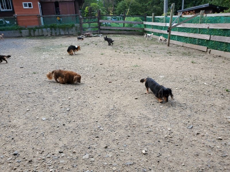 f:id:roukenhome-ann:20190908210514j:plain