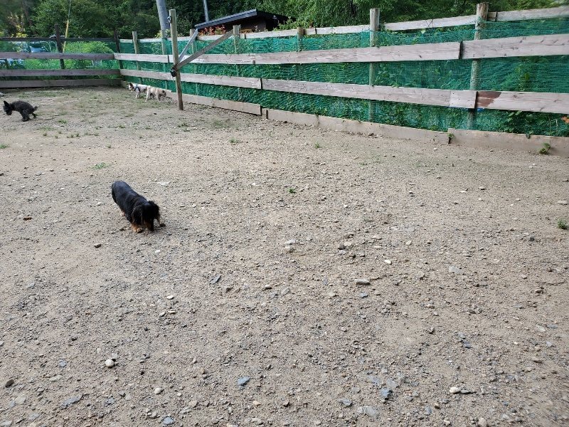 f:id:roukenhome-ann:20190908210522j:plain