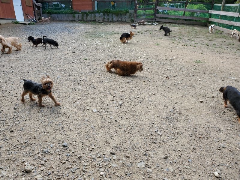 f:id:roukenhome-ann:20190908210531j:plain