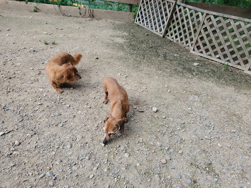 f:id:roukenhome-ann:20190908210539j:plain