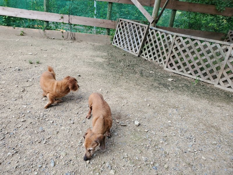 f:id:roukenhome-ann:20190908210550j:plain
