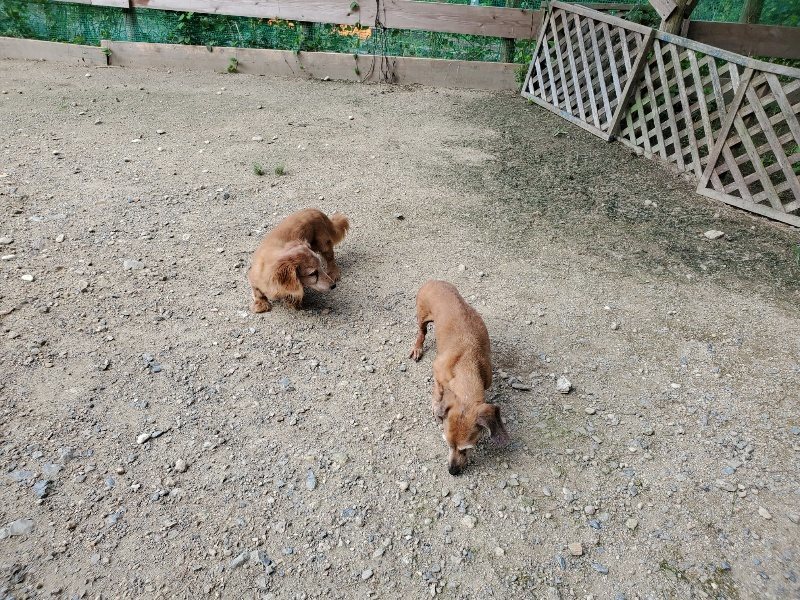 f:id:roukenhome-ann:20190908210558j:plain