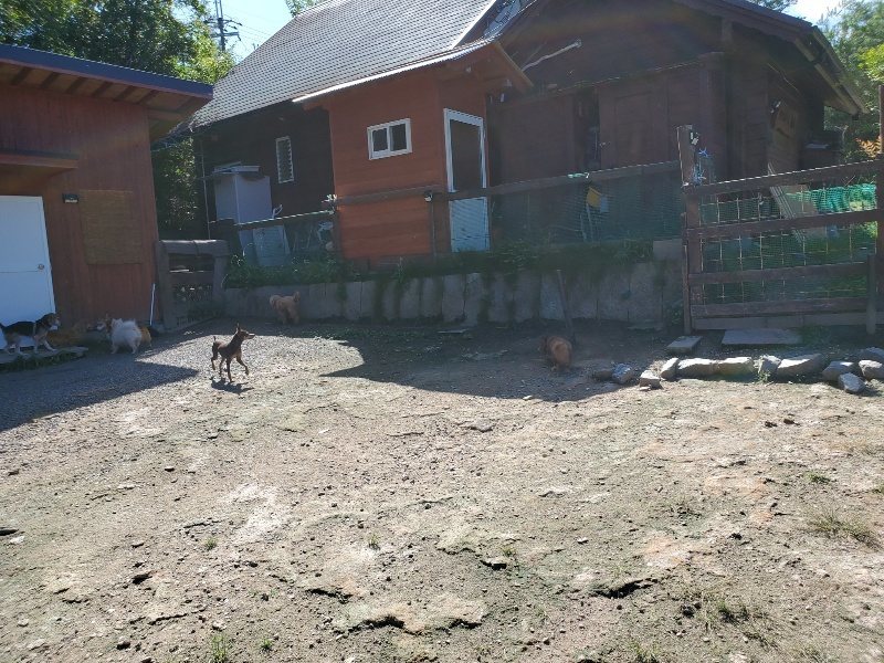 f:id:roukenhome-ann:20190908210616j:plain