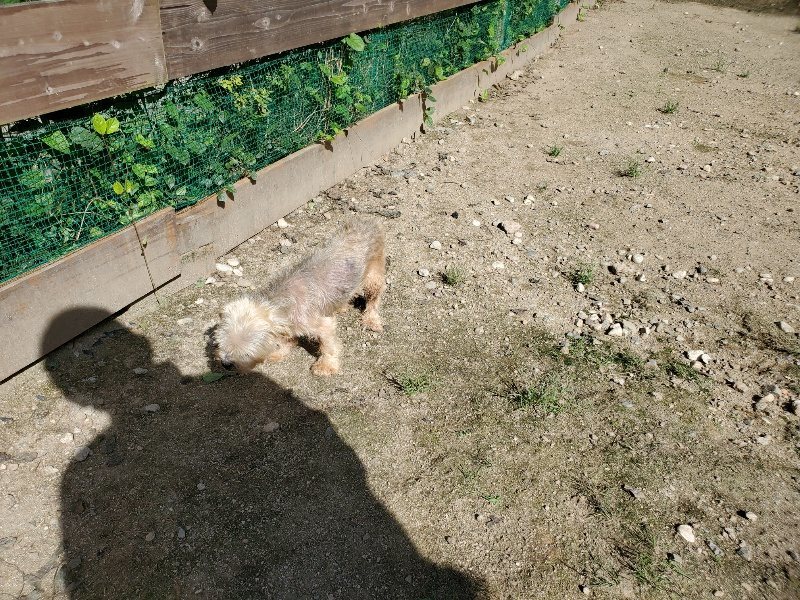 f:id:roukenhome-ann:20190908210645j:plain