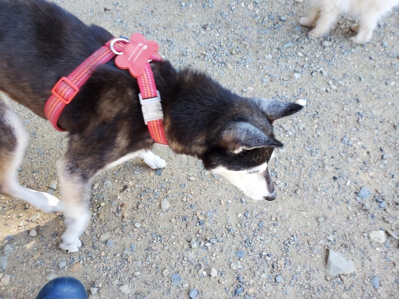 f:id:roukenhome-ann:20190909052824j:plain