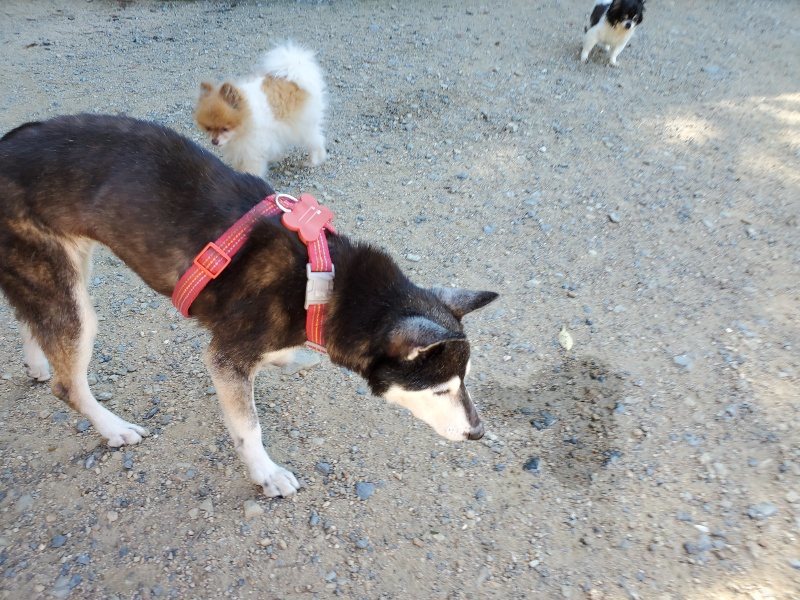 f:id:roukenhome-ann:20190909052829j:plain