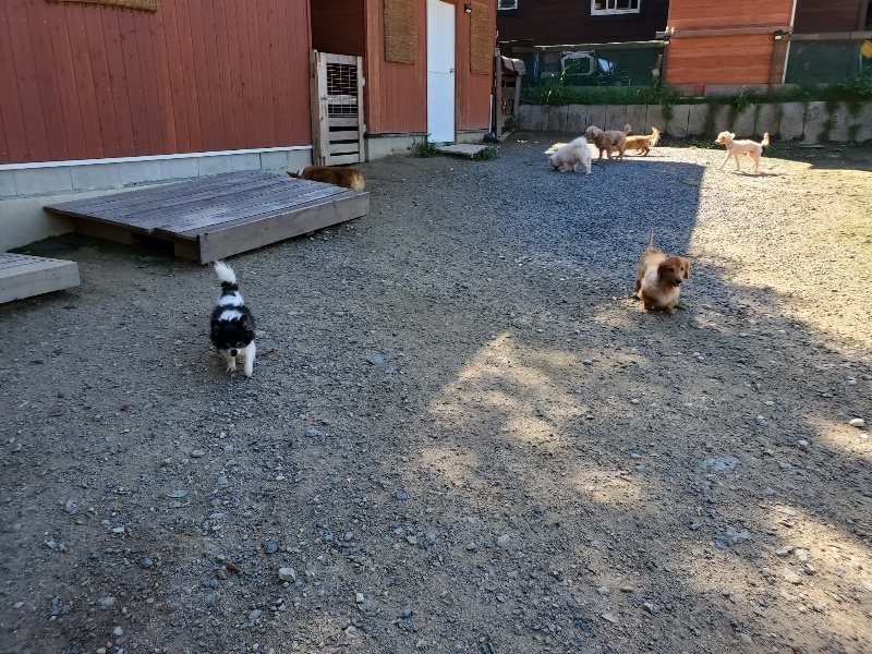 f:id:roukenhome-ann:20190909052835j:plain