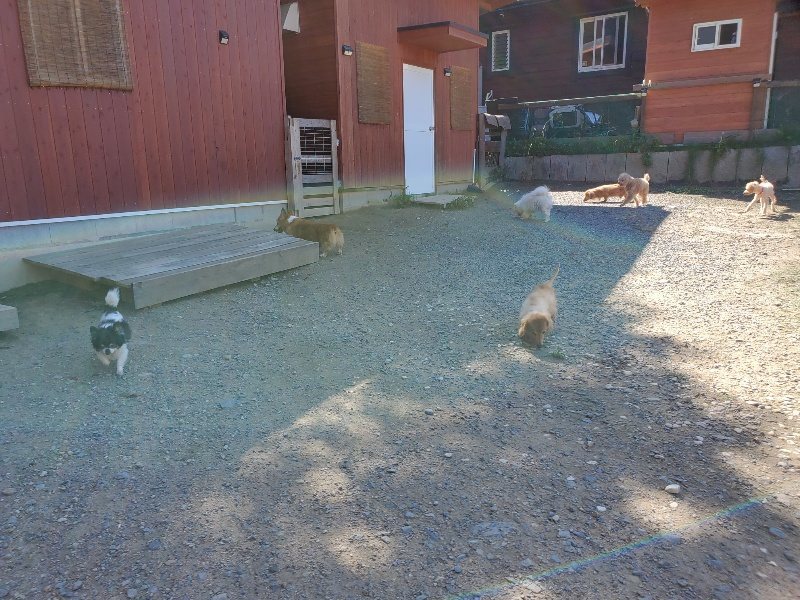 f:id:roukenhome-ann:20190909052840j:plain