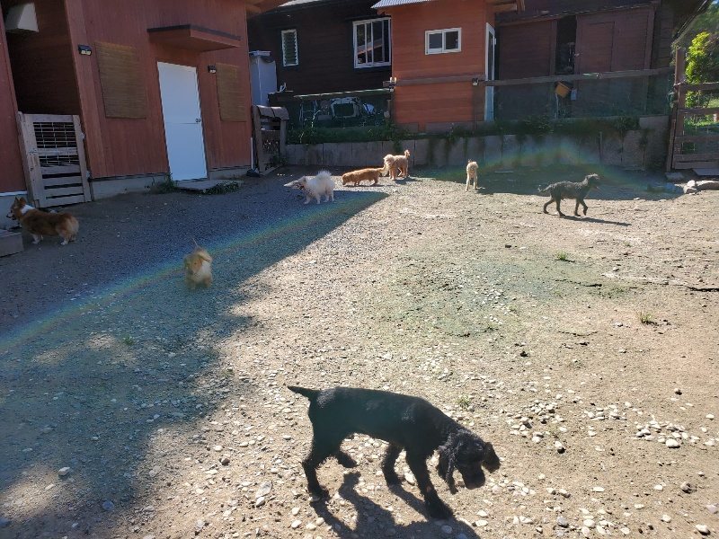 f:id:roukenhome-ann:20190909052846j:plain