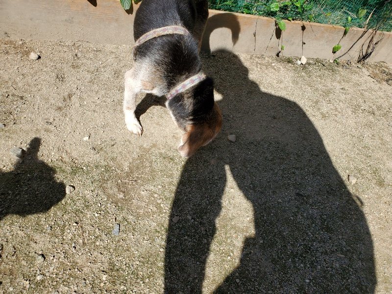 f:id:roukenhome-ann:20190909052853j:plain