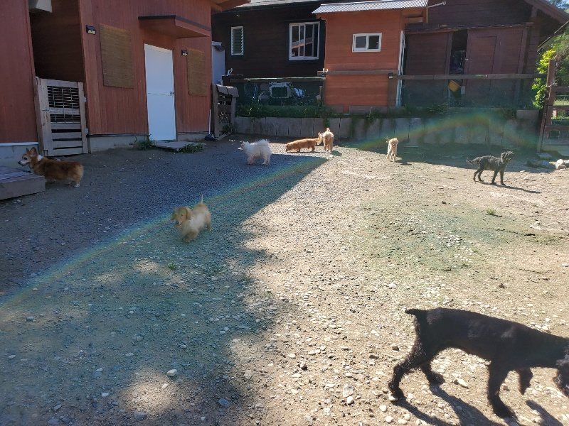 f:id:roukenhome-ann:20190909052859j:plain