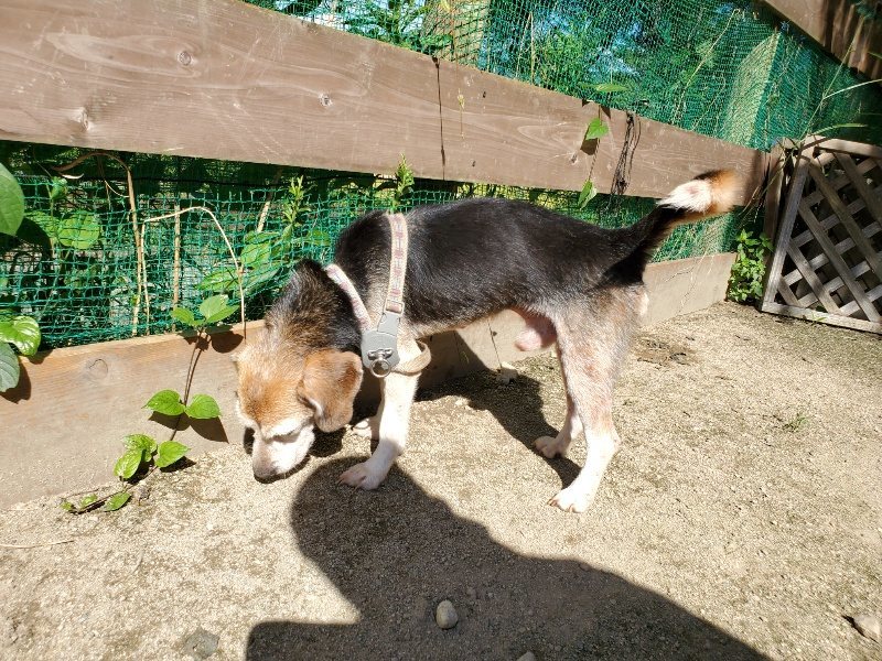 f:id:roukenhome-ann:20190909052905j:plain