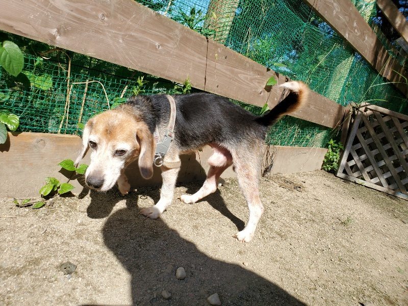 f:id:roukenhome-ann:20190909052911j:plain