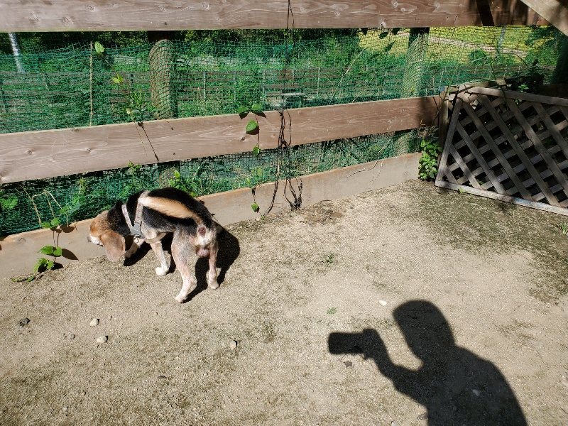 f:id:roukenhome-ann:20190909052921j:plain