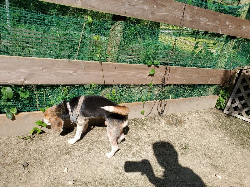 f:id:roukenhome-ann:20190909052929j:plain