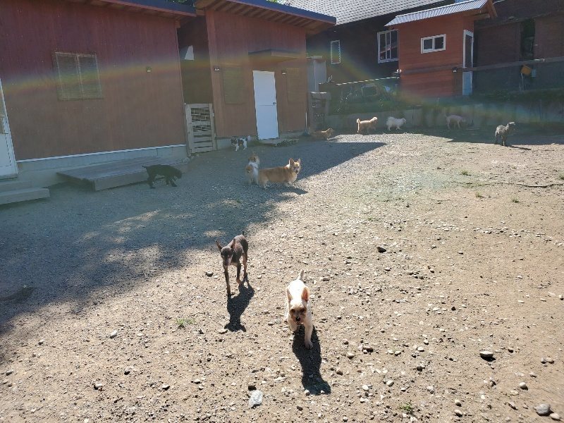 f:id:roukenhome-ann:20190909052941j:plain
