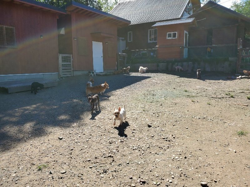 f:id:roukenhome-ann:20190909052947j:plain