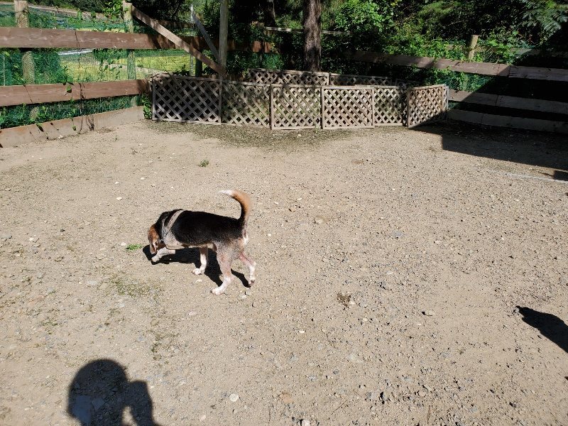 f:id:roukenhome-ann:20190909053000j:plain
