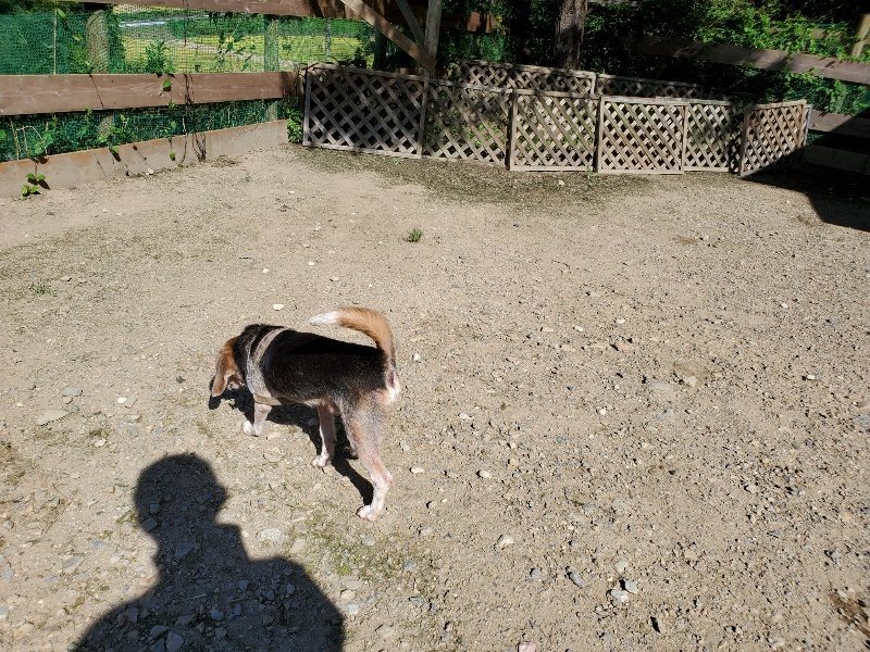 f:id:roukenhome-ann:20190909053006j:plain