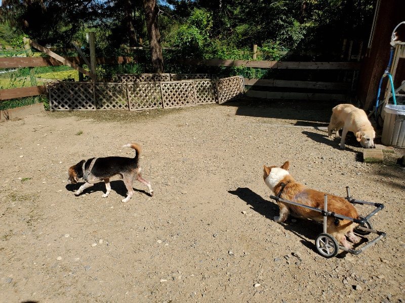 f:id:roukenhome-ann:20190909053011j:plain