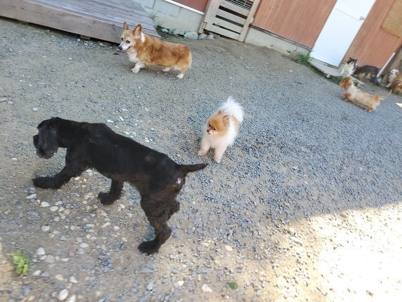 f:id:roukenhome-ann:20190909053017j:plain