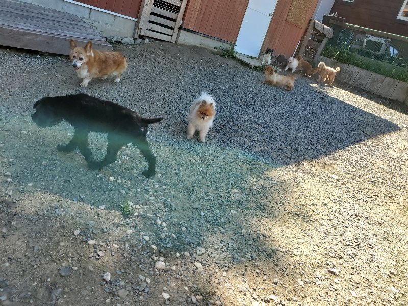 f:id:roukenhome-ann:20190909053022j:plain