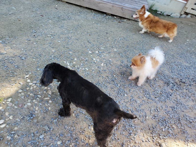 f:id:roukenhome-ann:20190909053027j:plain