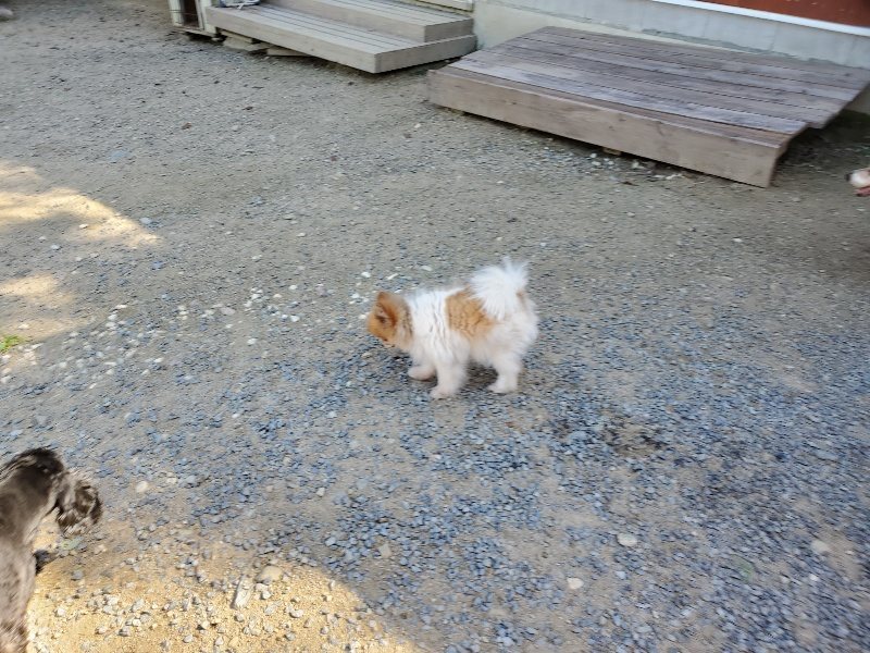 f:id:roukenhome-ann:20190909053032j:plain
