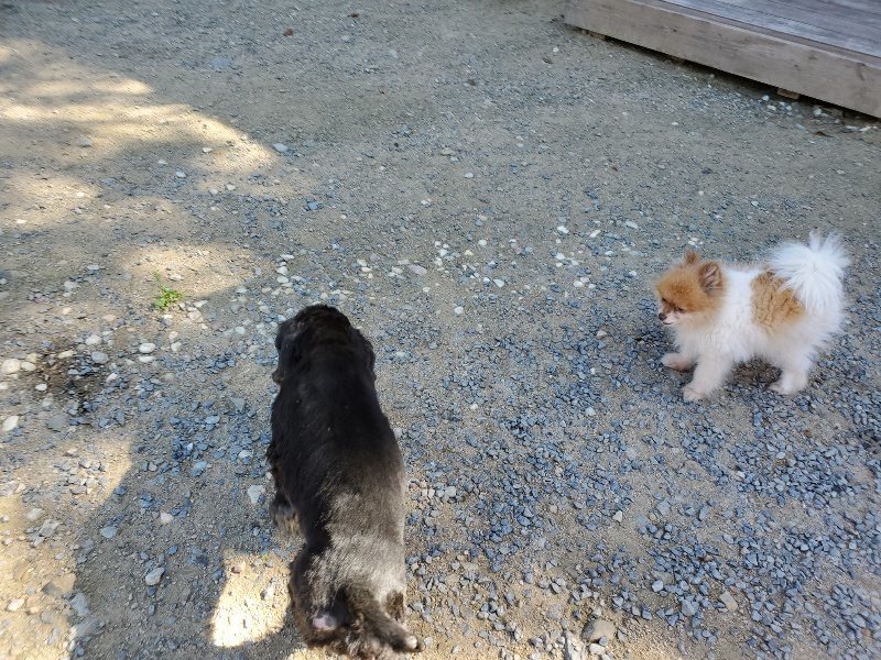 f:id:roukenhome-ann:20190909053038j:plain