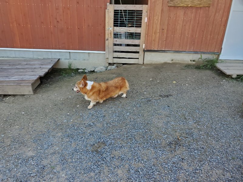f:id:roukenhome-ann:20190909053044j:plain