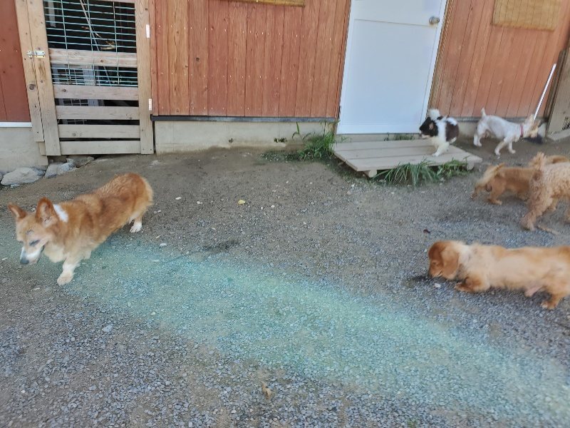 f:id:roukenhome-ann:20190909053051j:plain