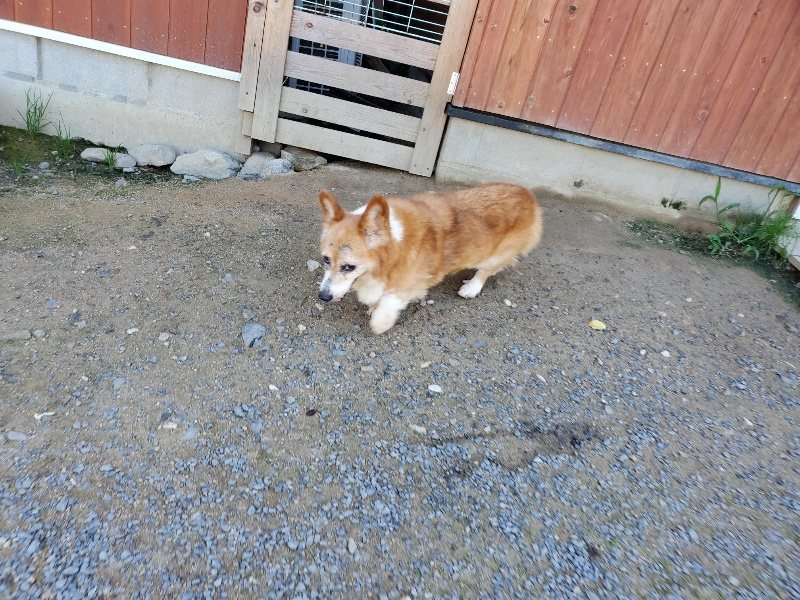 f:id:roukenhome-ann:20190909053056j:plain