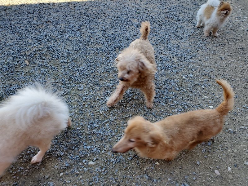 f:id:roukenhome-ann:20190909053102j:plain