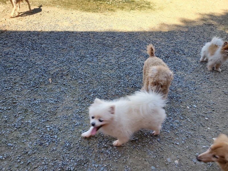 f:id:roukenhome-ann:20190909053112j:plain