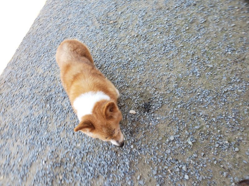 f:id:roukenhome-ann:20190909053126j:plain