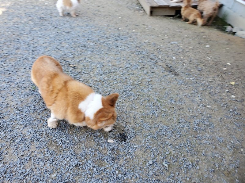 f:id:roukenhome-ann:20190909053139j:plain