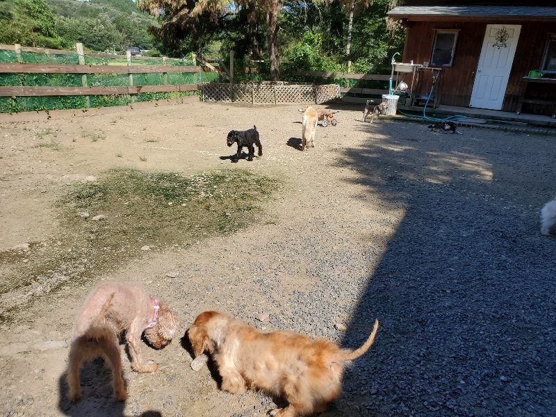 f:id:roukenhome-ann:20190909053147j:plain