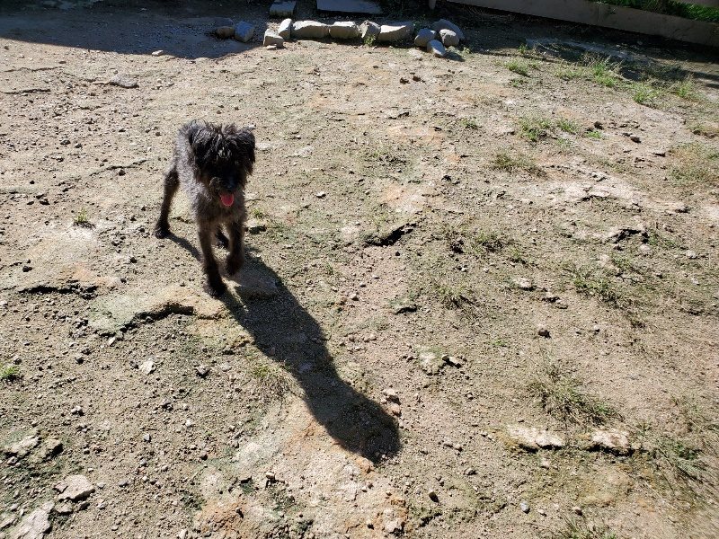 f:id:roukenhome-ann:20190909053205j:plain