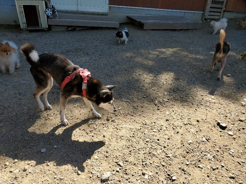 f:id:roukenhome-ann:20190909053231j:plain